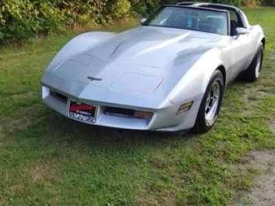 1981 Chevrolet Corvette for sale