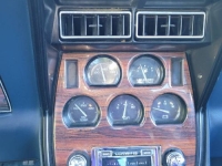 1981 Chevrolet Corvette for sale in Michigan (ID-107048)