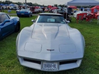 1981 Chevrolet Corvette for sale in Michigan (ID-107048)
