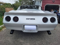 1981 Chevrolet Corvette for sale in Michigan (ID-107048)