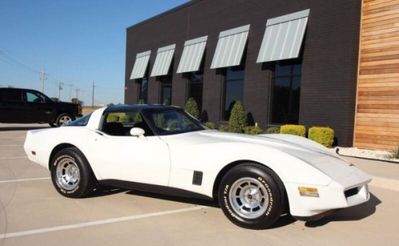 1981 Chevrolet Corvette for sale in Michigan (ID-108045)