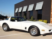 1981 Chevrolet Corvette for sale in Michigan (ID-108045)