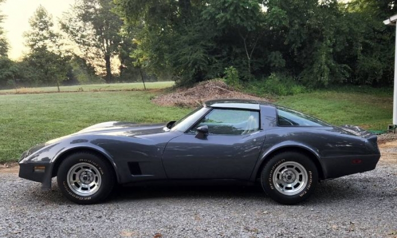 1981 Chevrolet Corvette for sale in Michigan (ID-109844)