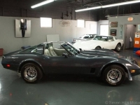 1981 Chevrolet Corvette for sale in Michigan (ID-109844)