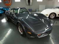 1981 Chevrolet Corvette for sale in Michigan (ID-109844)