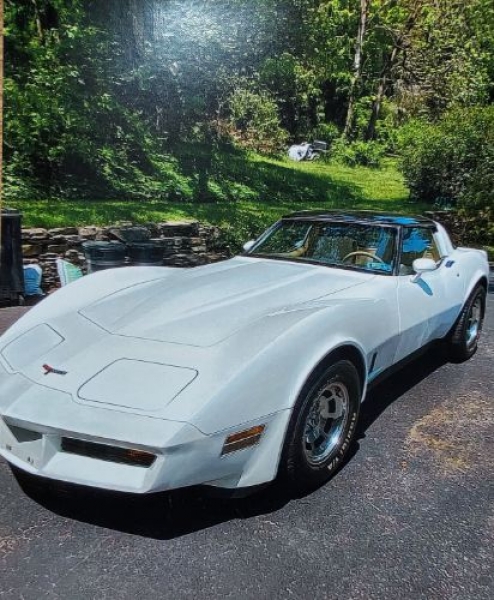 1981 Chevrolet Corvette for sale in Michigan (ID-113638) 1981 Chevrolet Corvette for sale in Michigan (ID-113638)