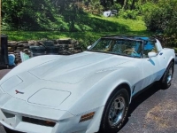 1981 Chevrolet Corvette for sale in Michigan (ID-113638)