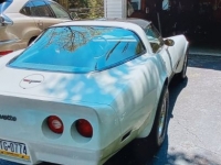 1981 Chevrolet Corvette for sale in Michigan (ID-113638)