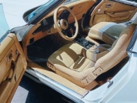 1981 Chevrolet Corvette for sale in Michigan (ID-113638)