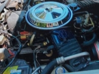 1981 Chevrolet Corvette for sale in Michigan (ID-113638)