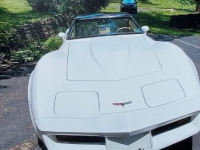 1981 Chevrolet Corvette for sale in Michigan (ID-113638)