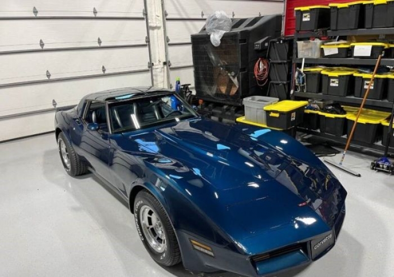 1981 Chevrolet Corvette for sale in Michigan (ID-114149)