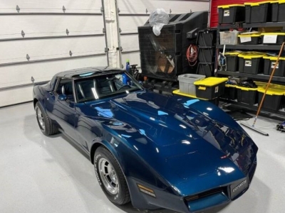 1981 Chevrolet Corvette for sale