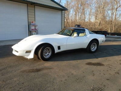 1981 Chevrolet Corvette for sale