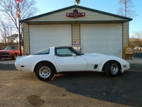 1981 Chevrolet Corvette for sale in Michigan (ID-114469)
