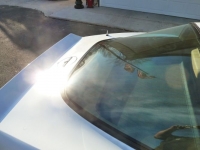 1981 Chevrolet Corvette for sale in Michigan (ID-114469)