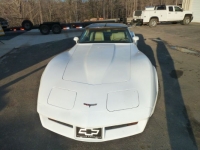 1981 Chevrolet Corvette for sale in Michigan (ID-114469)