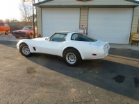 1981 Chevrolet Corvette for sale in Michigan (ID-114469)