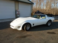 1981 Chevrolet Corvette for sale in Michigan (ID-114469)