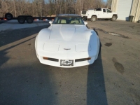 1981 Chevrolet Corvette for sale in Michigan (ID-114469)