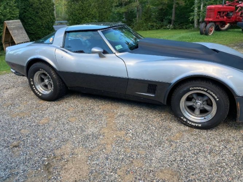 1981 Chevrolet Corvette for sale in Michigan (ID-119587)