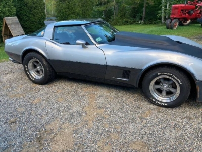 1981 Chevrolet Corvette for sale
