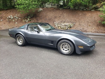 1981 Chevrolet Corvette for sale
