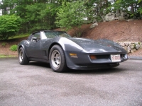 1981 Chevrolet Corvette for sale in Michigan (ID-119670)