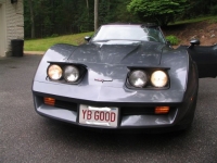 1981 Chevrolet Corvette for sale in Michigan (ID-119670)
