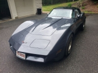 1981 Chevrolet Corvette for sale in Michigan (ID-119670)