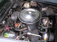 1981 Chevrolet Corvette for sale in Michigan (ID-119670)