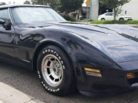 1981 Chevrolet Corvette for sale in Michigan (ID-122256)