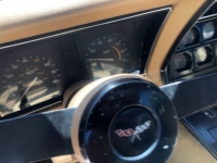 1981 Chevrolet Corvette for sale in Michigan (ID-122256)