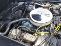 1981 Chevrolet Corvette for sale in Michigan (ID-122256)