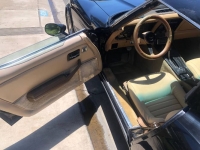 1981 Chevrolet Corvette for sale in Michigan (ID-122256)