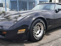 1981 Chevrolet Corvette for sale in Michigan (ID-122256)
