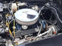 1981 Chevrolet Corvette for sale in Michigan (ID-122256)