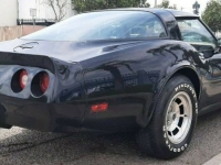 1981 Chevrolet Corvette for sale in Michigan (ID-122256)