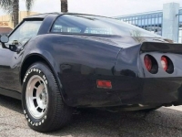 1981 Chevrolet Corvette for sale in Michigan (ID-122256)