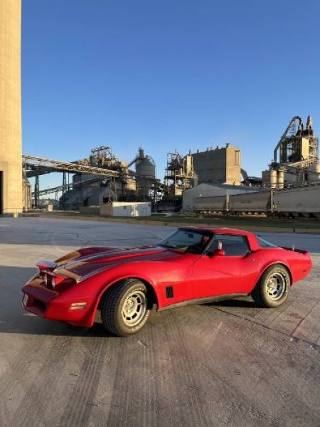 1981 Chevrolet Corvette for sale in Michigan (ID-123190)