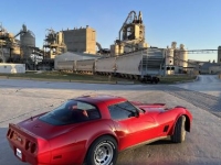 1981 Chevrolet Corvette for sale in Michigan (ID-123190)