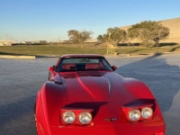 1981 Chevrolet Corvette for sale in Michigan (ID-123190)