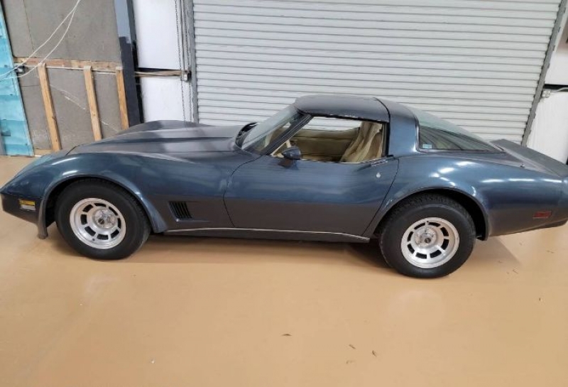 1981 Chevrolet Corvette for sale in Michigan (ID-123901) 1981 Chevrolet Corvette for sale in Michigan (ID-123901)