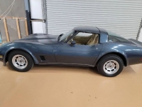 1981 Chevrolet Corvette for sale in Michigan (ID-123901)