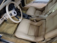 1981 Chevrolet Corvette for sale in Michigan (ID-123901)