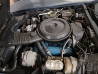 1981 Chevrolet Corvette for sale in Michigan (ID-123901)