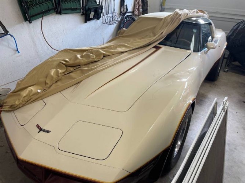 1981 Chevrolet Corvette for sale in Michigan (ID-126612)