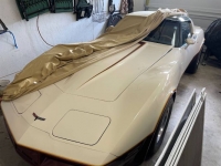 1981 Chevrolet Corvette for sale in Michigan (ID-126612)