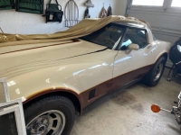 1981 Chevrolet Corvette for sale in Michigan (ID-126612)