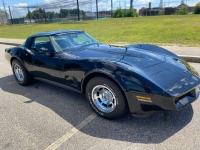 1981 Chevrolet Corvette for sale in Michigan (ID-126856)